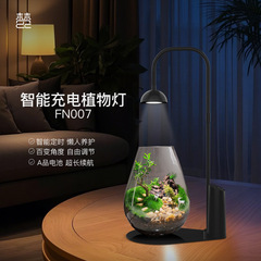 梵农微景观专用充电款植物灯全光谱智能苔藓生态瓶补光灯续航长