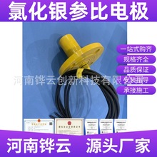 便携式Ag/AgCl测试电极氯化银参比电极 船用固态氯化银参比电极