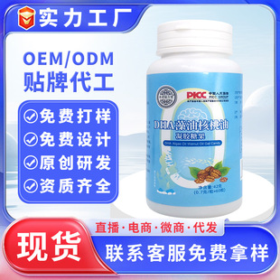 ��ͯdha���ͺ��������z�ǹ������N�Ɓ�������������W��dha������