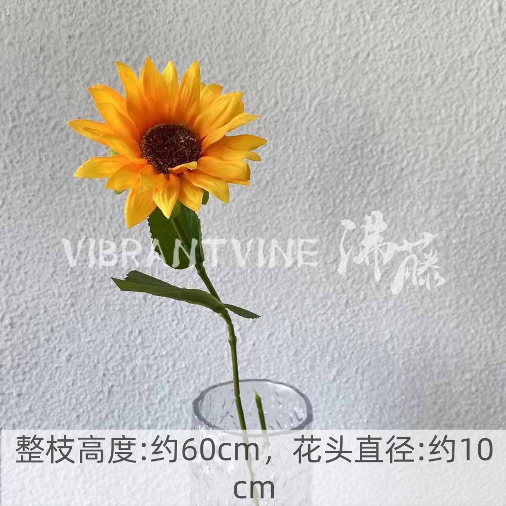Yellow sunflower