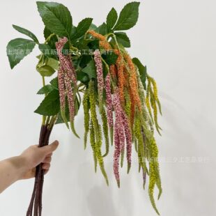 �S�ҷ��滨���lľ�ӻ� ��� ����˹ëë�x�OӋ��ܛ�b�쾰�廨����