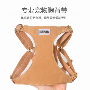 Amazon dog walking dog leash small dog rope chest strap vest puppy tea cup small Teddy