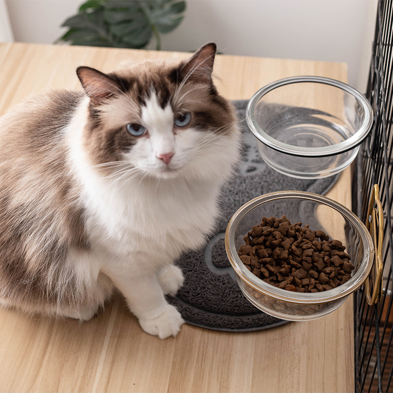 Fábrica al por mayor colgante jaula mascota gato comida tazón antigolpes fácil limpieza fija colgante gato tazón perro tazón mascota alimentador