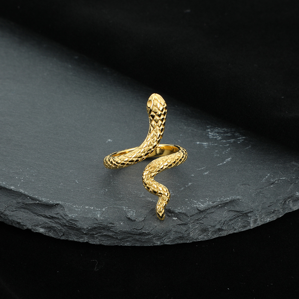 Retro Animal Snake Stainless Steel Plating Unisex Rings display picture 9