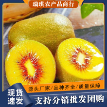 正宗红心猕猴桃30个整箱新鲜水果10批发包邮5四川浦江弥猴奇异果
