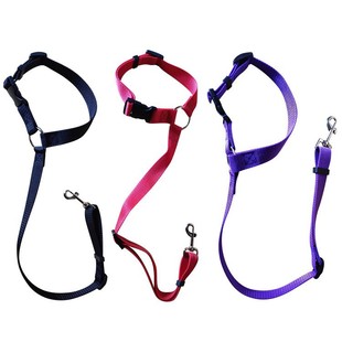 Dog car adjustable safety belt Car Pet traction rope car safety rope two-in-one out dog rope