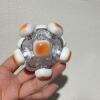 12-key transparent shell-bread hat