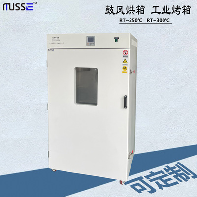 Drying constant temperature electrothermal DHG Department of class Shanghai Manufactor Specifications Complete goods in stock wholesale customized