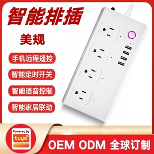 Graffiti solution American standard Wifi smart plug-in independent sub-control Amazon Alexa cross-border American standard smart plug-in