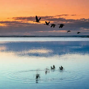 �S������ʹ���DIY�����ͮ��L���≺���L��ϩ�͏d�b��Ͳʮ����l