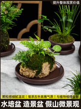 ˮʯ��ˮʯʯ�����Pʯ��ˮ�Pʯ�^�ϻ������бP���м�ɽ���辰