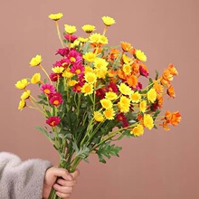 ���S����滨С����ʾ� ���ս����ջ�С���͏d��c�쾰�b[��