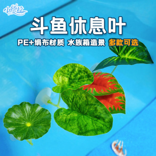 ���~��Ϣ�a���~�^�p��ȸ�~���^�p����ˮ������ιʳ�~�~���쾰�[��