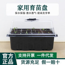 塑料透明育苗盒保湿保温育苗盘三件套扦插育苗箱多肉培育种子带盖