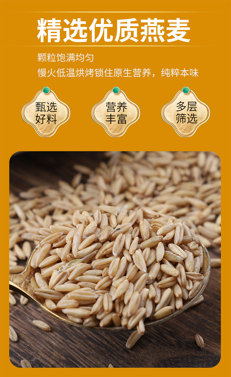 Cooked Oat Groats 500g Low Temperature Roasted Whole Grain for Porridge and Milling specifications