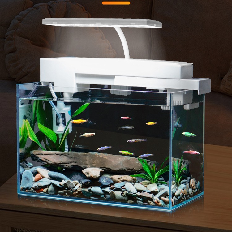 Super white fish tank living room small desktop ecological stream landscape landscaping real water grass glass lazy fish farming turtles tank goldfish