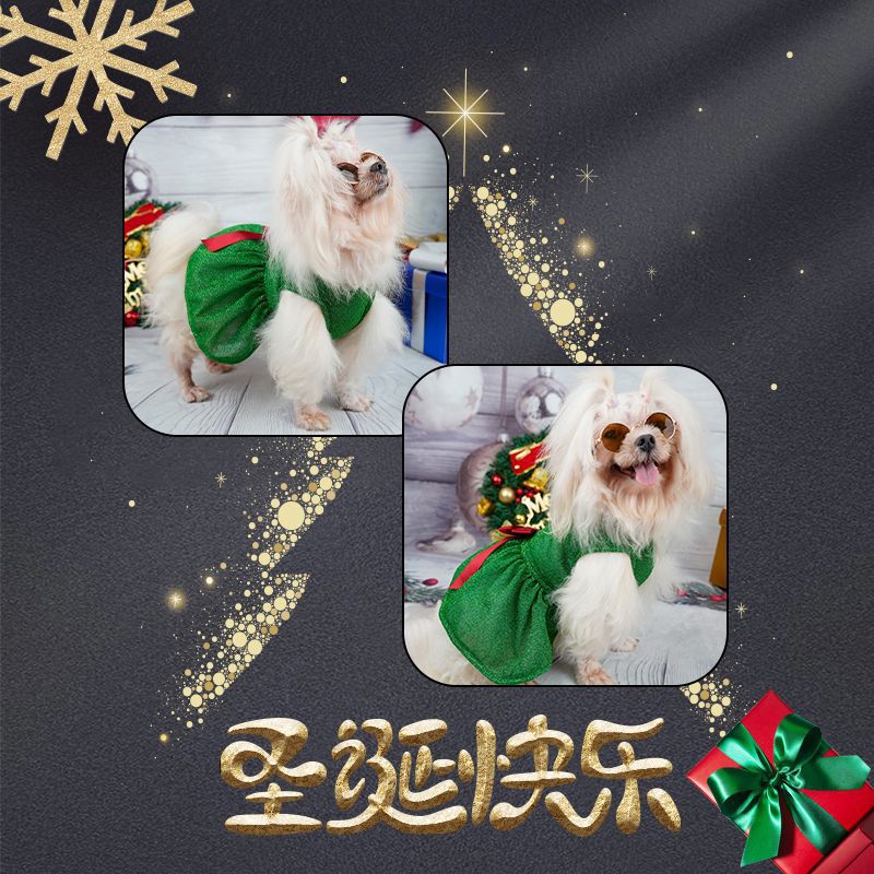 Ropa para mascotas falda de Navidad perro nuevo regalo de fábrica de ropa de Navidad para los ancianos transfronterizos