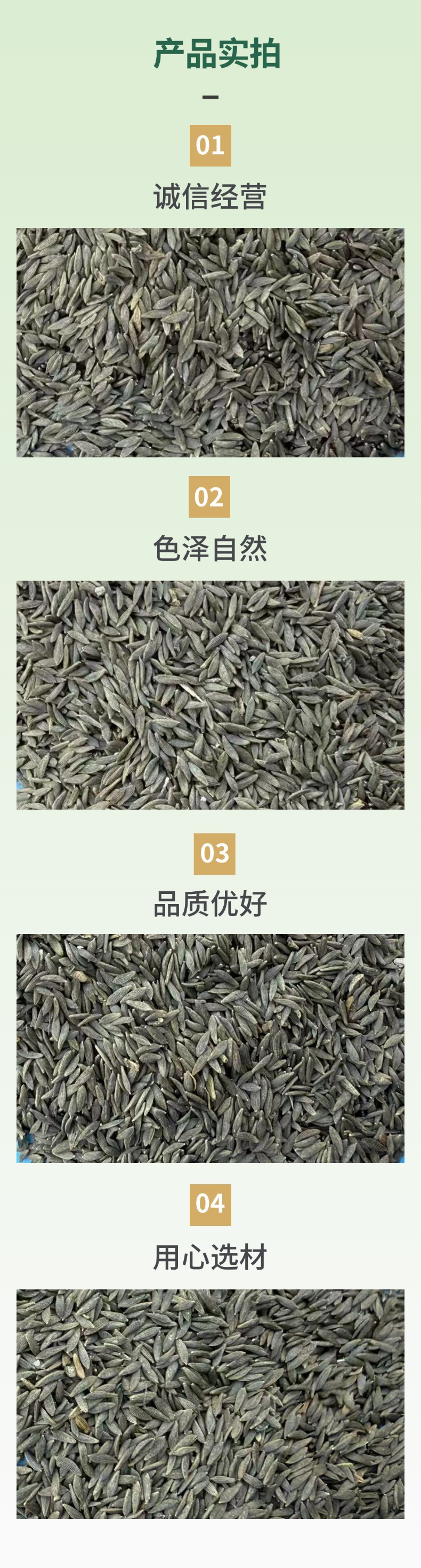 Black Lettuce Seeds Raw Edible Agricultural Product 1 Jin Pack specifications