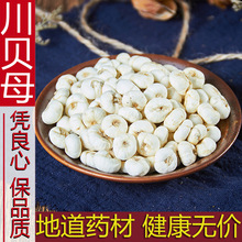 贝母500g包邮四川农家自产平贝母中药材非野生正品无硫川贝可打粉