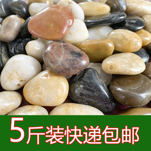5���Z��ʯ�·䁵�ͥԺ�@���쾰��Ȼ��Сʯ�^�껨ʯԭʯ�Zܛůʯ