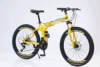 Yellow bike spokes, 40