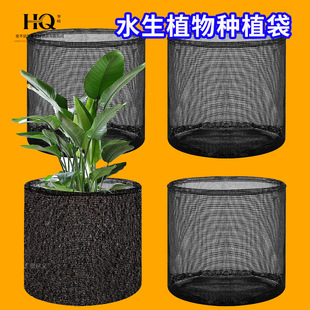 �ɿ羳�Ӻ����ϾW�@�ֳ���ˮ��ֲ��Nֲ��С�������ϾW�����ϾW