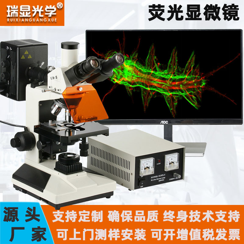 正置荧光显微镜RX-L2001四组激发透射视场观察研究生物细胞多功能