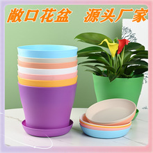 ?���ڻ��� pp��֬���ϻ��� �̨�Gֲ����@ˇ���������� �S��