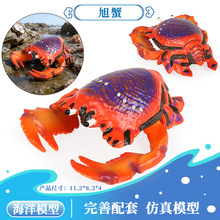 �羳���溣�����ģ���з����з���cз��зɯ��з�ľ�з��зģ��