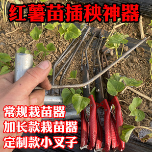 �t���������������矟����t��������� �߲�������������