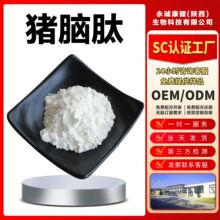 脑肽粉95%猪脑低聚肽猪脑多肽活性小分子蛋白肽≤500道尔顿当天发
