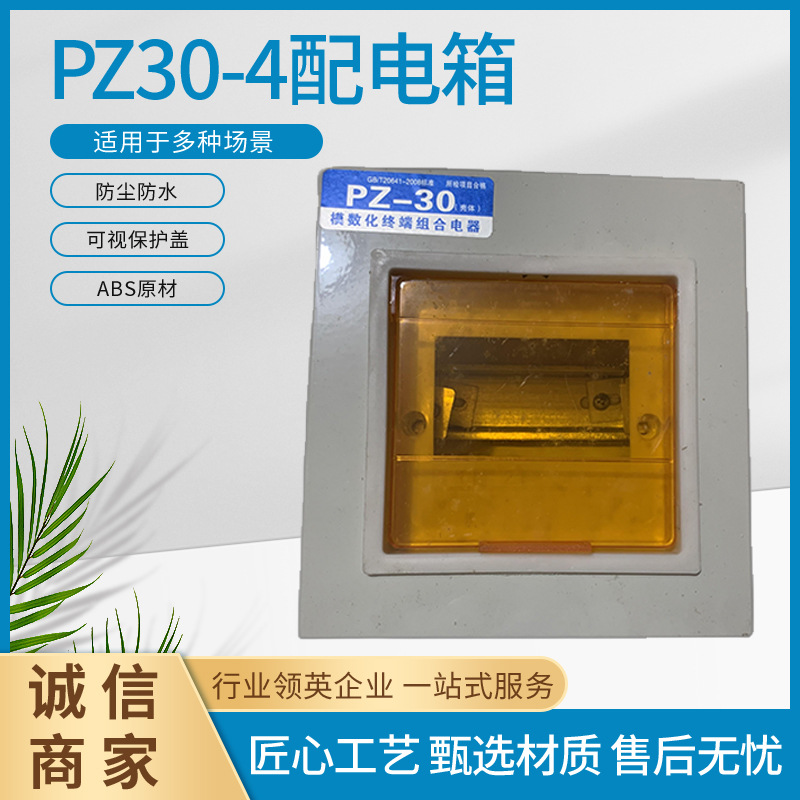 pz30-4配电箱明暗装回路照明配电箱布线箱漏电断路开关专用箱批发