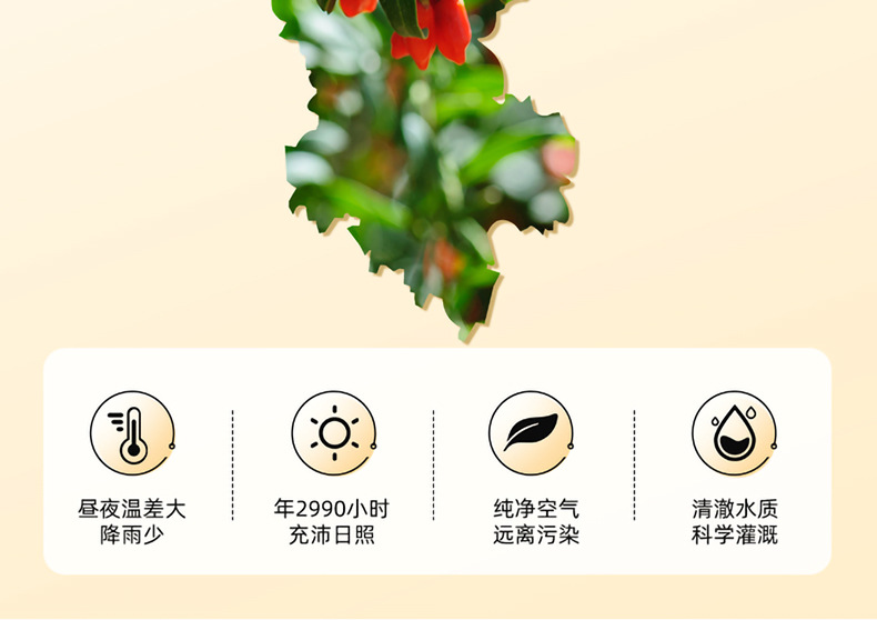 Goji Berry Gift Box 15 Jars 300g Ningxia Large Grade Ready to Eat Wolfberry quality and texture
