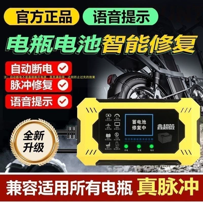 Pulse Voltage Stabilizer Repairer One-Click: Other Electric Vehicle Accessories