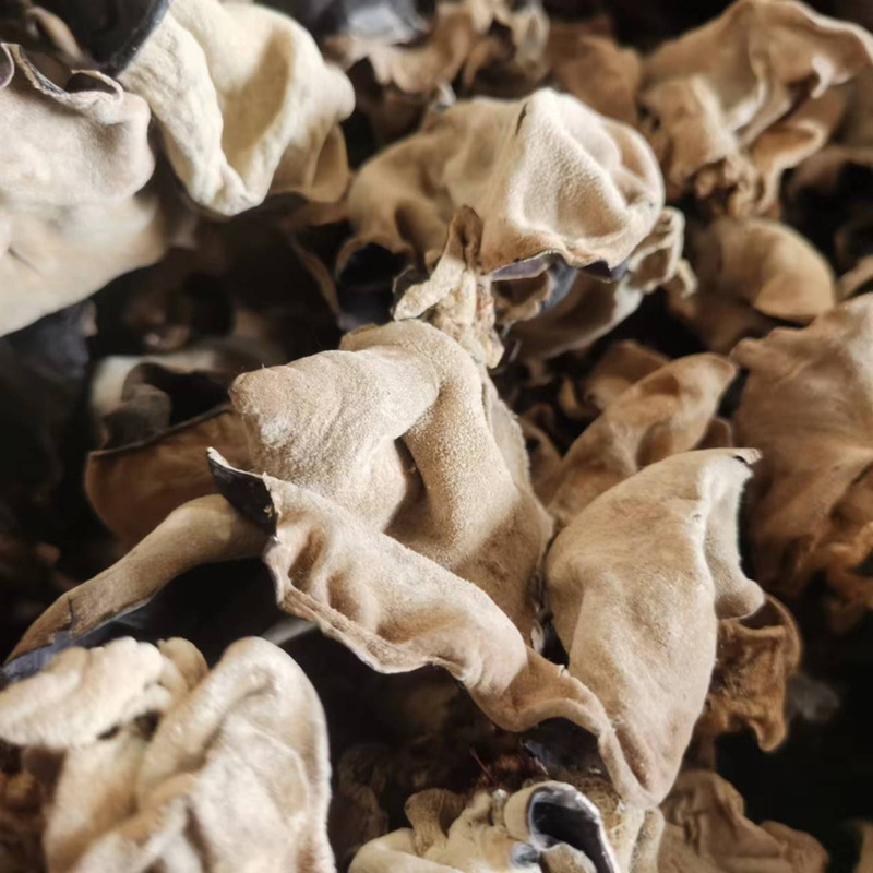 0fd14f6d32301af51cd51121beae72