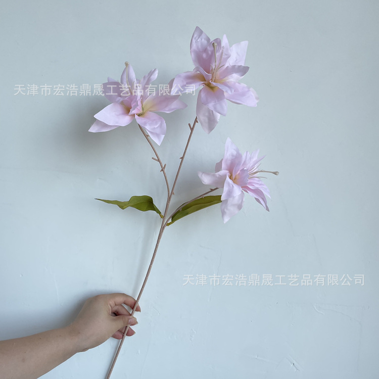 微信图片_202208111655475_副本