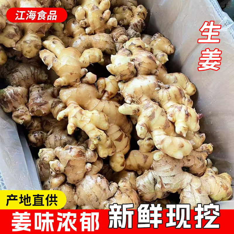 批发新鲜姜生姜风干姜有机生姜老姜干姜大黄姜安丘原产地厂家直供