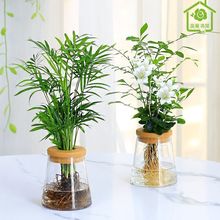 �پGֲˮ���Bֲ��G�}��Ƥ�m����lؔ���҃��B�׻���ļ�����