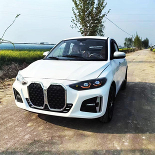 新能源城鄉家用電動四輪車新款X9成人上班接娃油電兩用代步電轎車