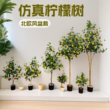 ���晎�ʘ����Ա��W�L�҃��bGֲ�������Ә䎧���٘���ؔ[��