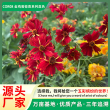 ƷɫĿշNpɫuշN̨ԹSlܷNֱֲN