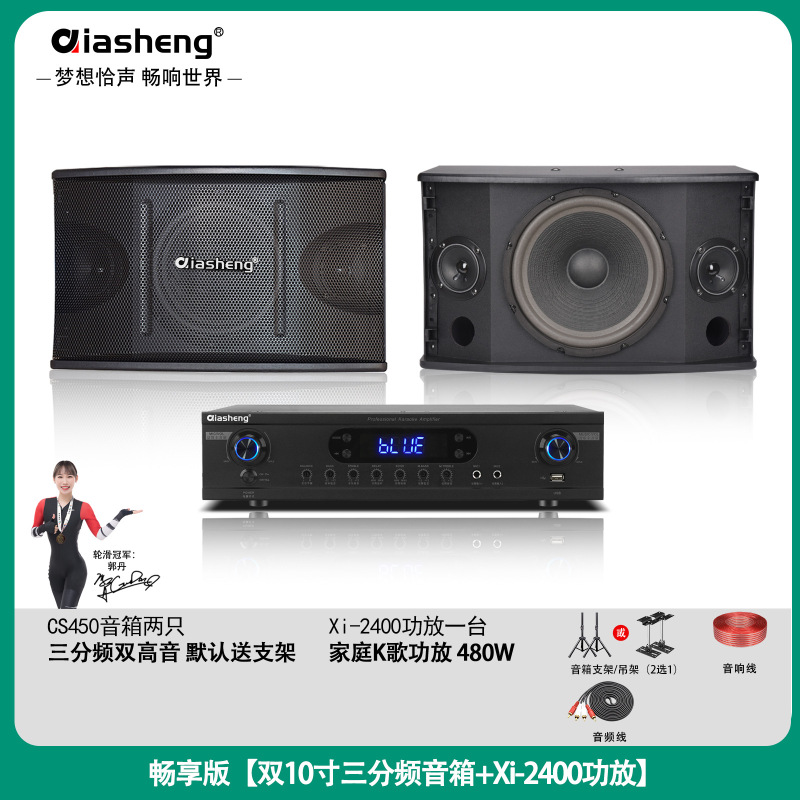 QIASHENG 家庭KTV音响套装卡拉OK点歌机专业音箱全套K歌影院设备|undefined
