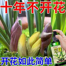 ���ٰl��ѿ���m��������ѿ�I�BҺ����ˮֱ�������Ѹ���ѿ���ʌ���