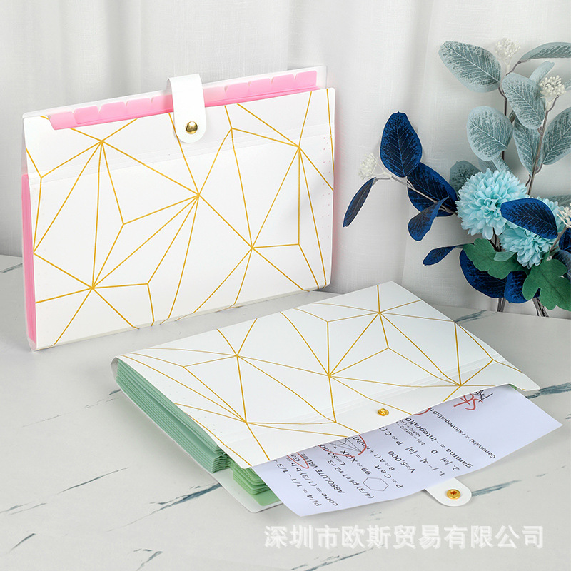 Manufacturer's Ready-Made 12-Grids Color Page Accordion Bag Plastic Folder A4 Student Test Paper Bag Office Classification Storage and Organization