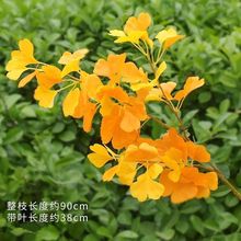 y~S֦٘~Ϙ֦쾰cٻbGֲ