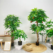 ����lؔ���辰�h������ֲ����ؼ�ͥ�̈��������������b���ؔ��