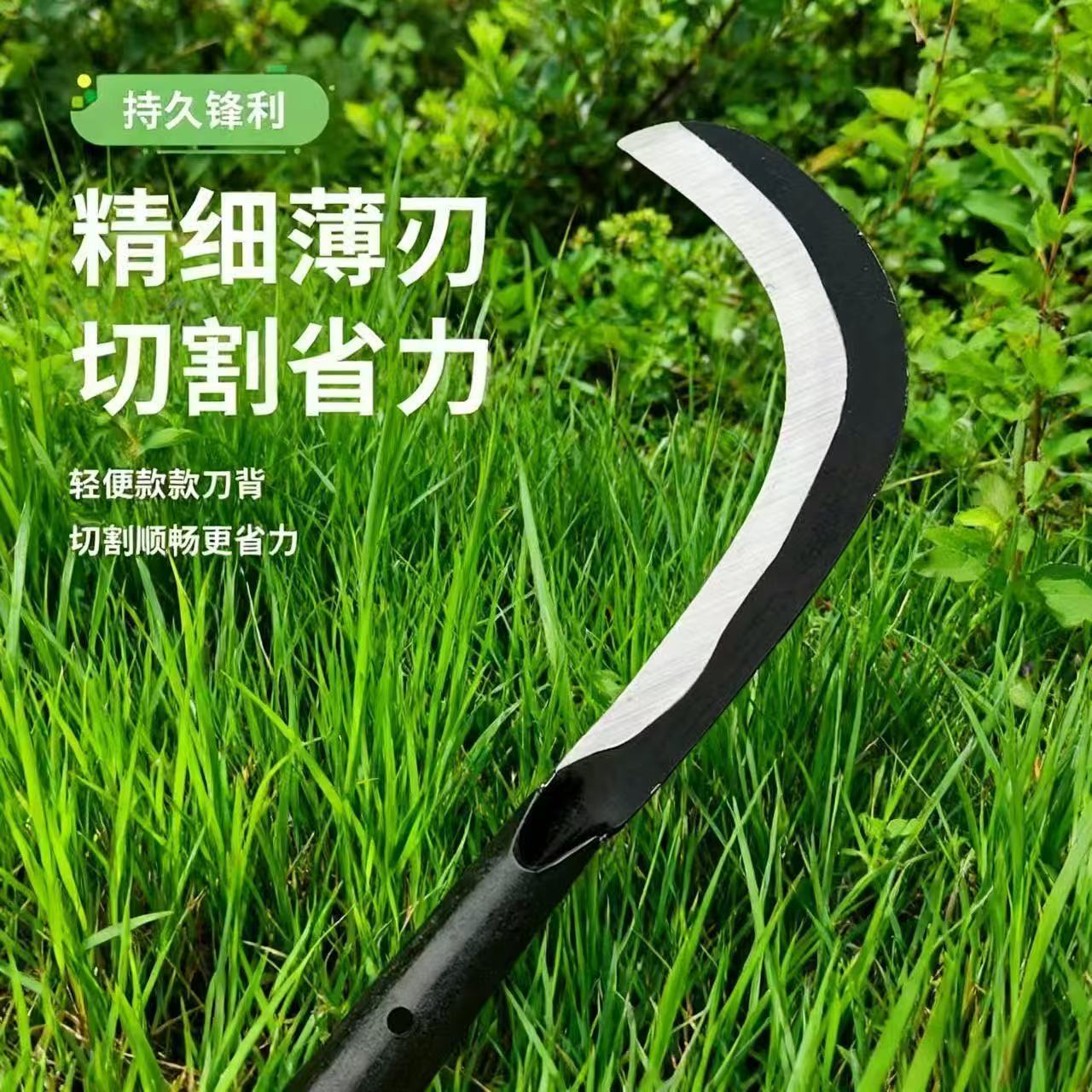 微信图片_20260330120813_281_28.jpg
