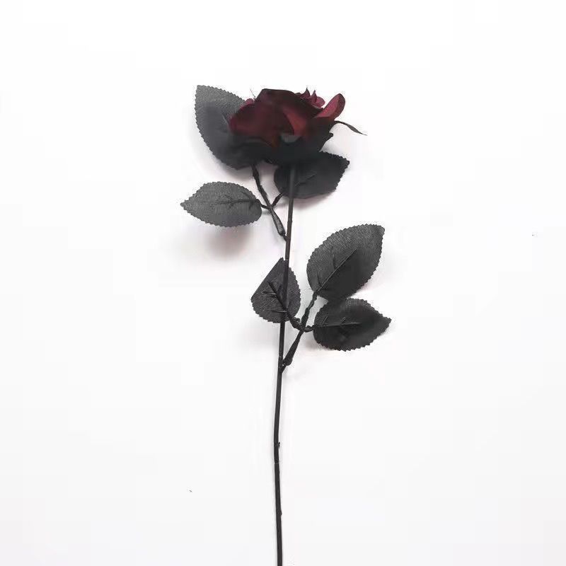 진한 빨간색 장미 2개