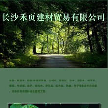 �����Lɳ����߅�����L���������G����ͤ�L�ȣ��@�ֹ����OӋ