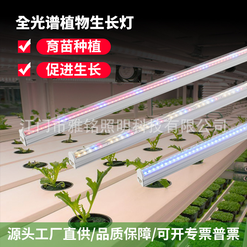 T5植物灯生长灯组培灯育苗工厂直销全光谱LED植物带开关补光灯管